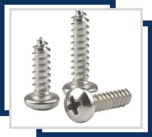 Stainless Steel 446 Screws in UAE