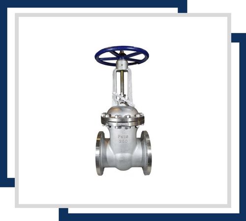 Stainless Steel Soft Seated Gate Valve in UAE